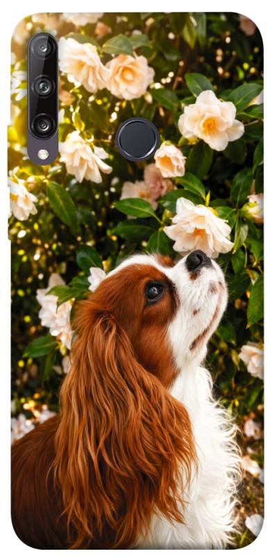 Чохол itsPrint Flower spaniel для Huawei P40 Lite E / Y7p (2020), песики, купити оптом з доставкою