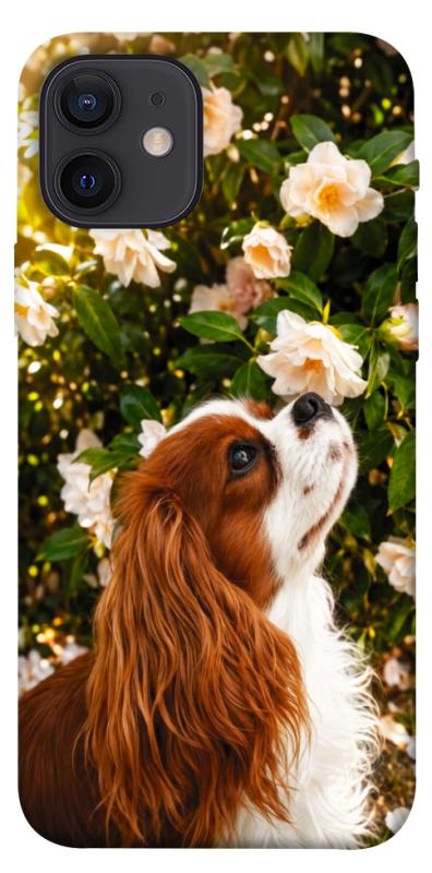 Чехол itsPrint Flower spaniel для Apple iPhone 12 Pro (6.1"), песики, купить оптом с доставкой