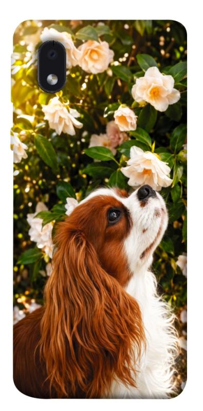 Чохол itsPrint Flower spaniel для Samsung Galaxy M01 Core / A01 Core, песики, купити оптом з доставкою
