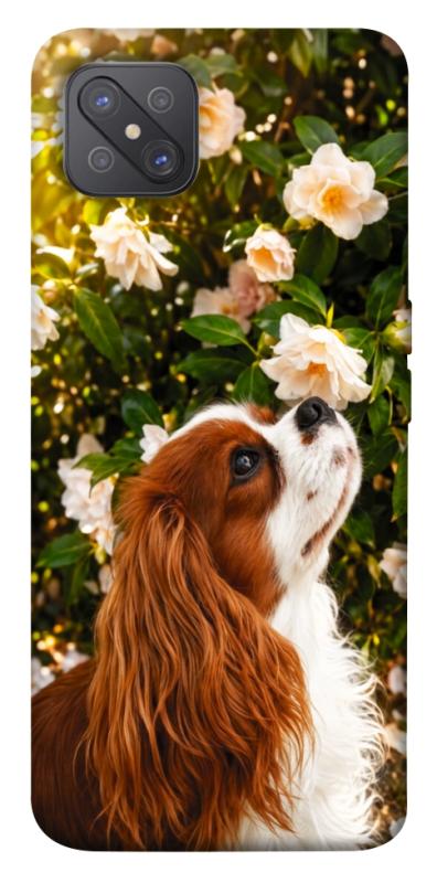 Чохол itsPrint Flower spaniel для Oppo A92s, песики, купити оптом з доставкою