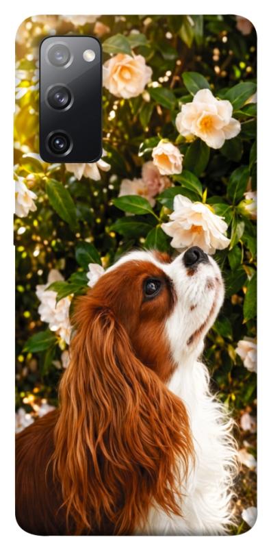 Чехол itsPrint Flower spaniel для Samsung Galaxy S20 FE, песики, купить оптом с доставкой