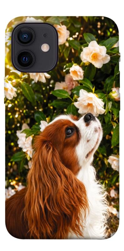 Чехол itsPrint Flower spaniel для Apple iPhone 12 mini (5.4"), песики, купить оптом с доставкой