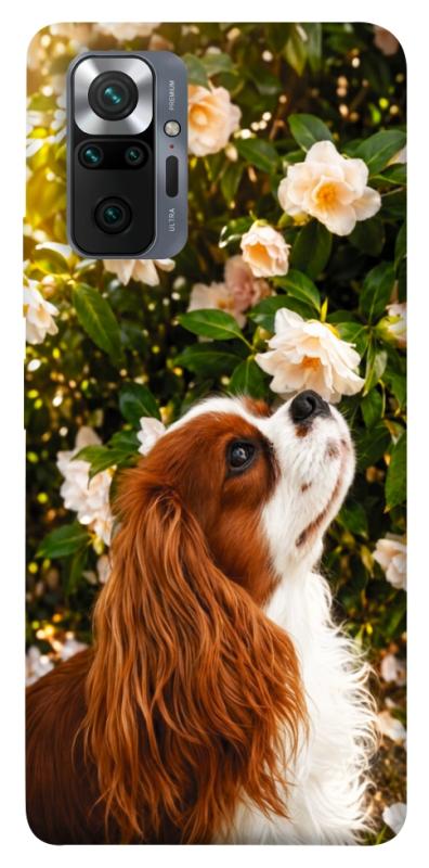 Чохол itsPrint Flower spaniel для Xiaomi Redmi Note 10 Pro, песики, купити оптом з доставкою