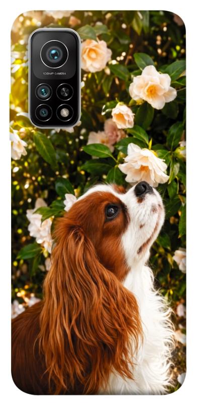 Чохол itsPrint Flower spaniel для Xiaomi Mi 10T, песики, купити оптом з доставкою