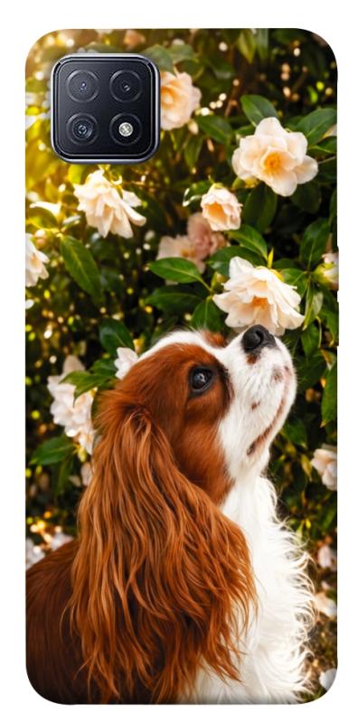 Чехол itsPrint Flower spaniel для Oppo A73, песики, купить оптом с доставкой