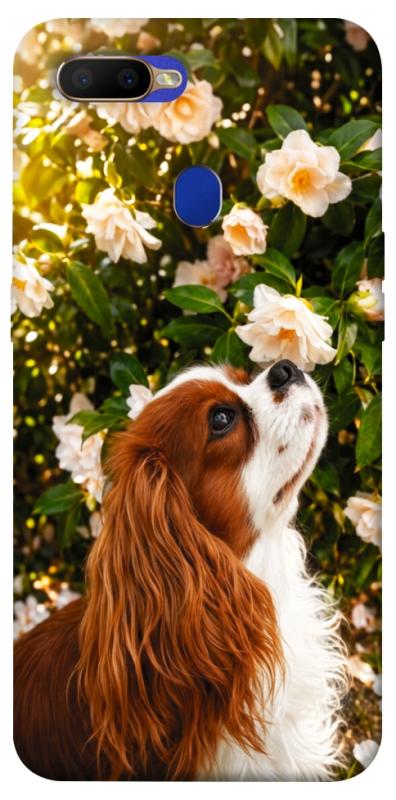 Чохол itsPrint Flower spaniel для Oppo A5s / Oppo A12, песики, купити оптом з доставкою
