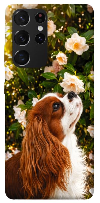 Чохол itsPrint Flower spaniel для Samsung Galaxy S21 Ultra, песики, купити оптом з доставкою