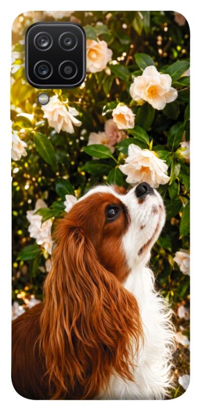 Чохол itsPrint Flower spaniel для Samsung Galaxy A12, песики, купити оптом з доставкою