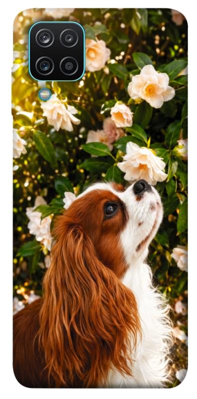 Чохол itsPrint Flower spaniel для Samsung Galaxy A12, песики, купити оптом з доставкою