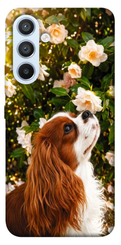 Чохол itsPrint Flower spaniel для Samsung Galaxy A54 5G, песики, купити оптом з доставкою
