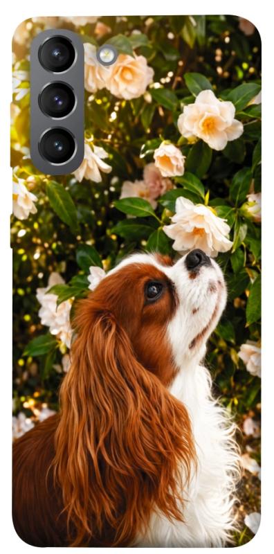 Чохол itsPrint Flower spaniel для Samsung Galaxy S21, песики, купити оптом з доставкою
