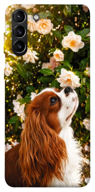 Чохол itsPrint Flower spaniel для Samsung Galaxy S21+, песики, купити оптом з доставкою