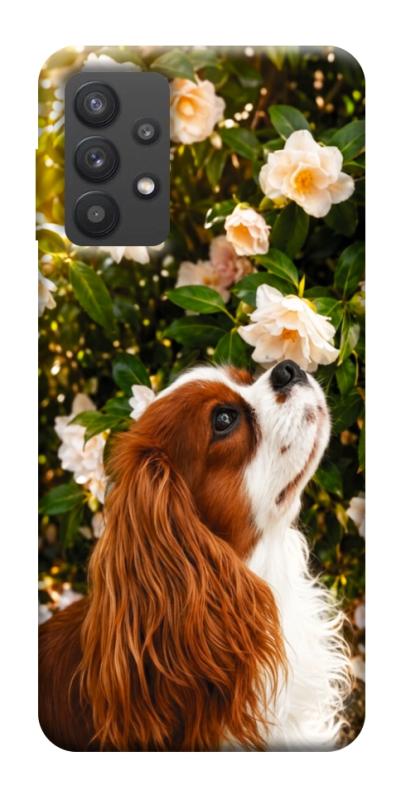Чехол itsPrint Flower spaniel для Samsung Galaxy A32 (A326B) 5G, песики, купить оптом с доставкой