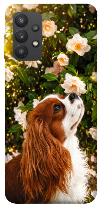 Чохол itsPrint Flower spaniel для Samsung Galaxy A32 (A325F) 4G, песики, купити оптом з доставкою