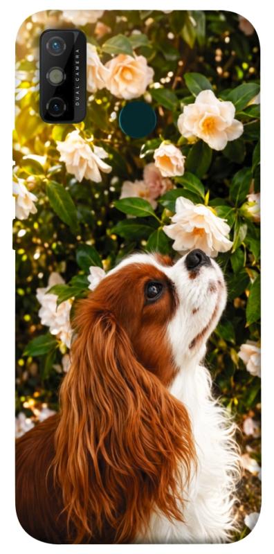 Чохол itsPrint Flower spaniel для TECNO Spark 6 Go, песики, купити оптом з доставкою