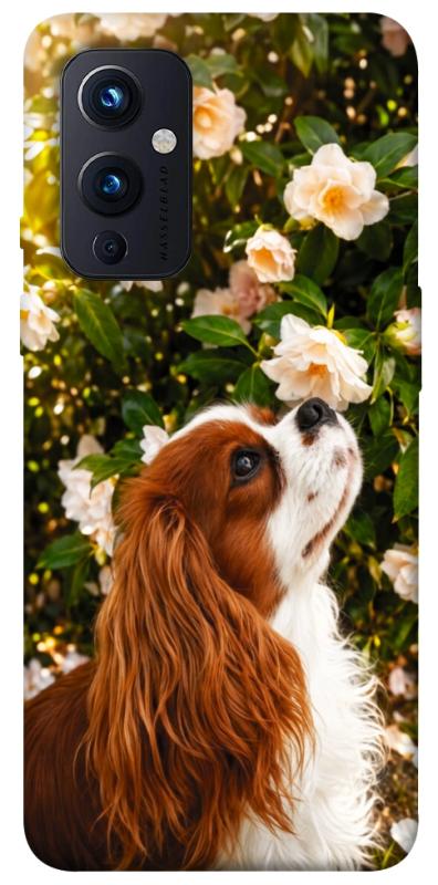 Чохол itsPrint Flower spaniel для OnePlus 9, песики, купити оптом з доставкою