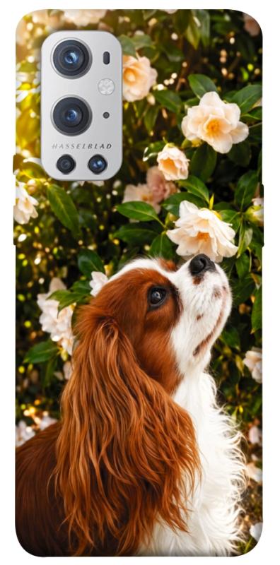 Чохол itsPrint Flower spaniel для OnePlus 9 Pro, песики, купити оптом з доставкою