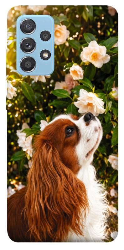 Чохол itsPrint Flower spaniel для Samsung Galaxy A52 4G / A52 5G, песики, купити оптом з доставкою