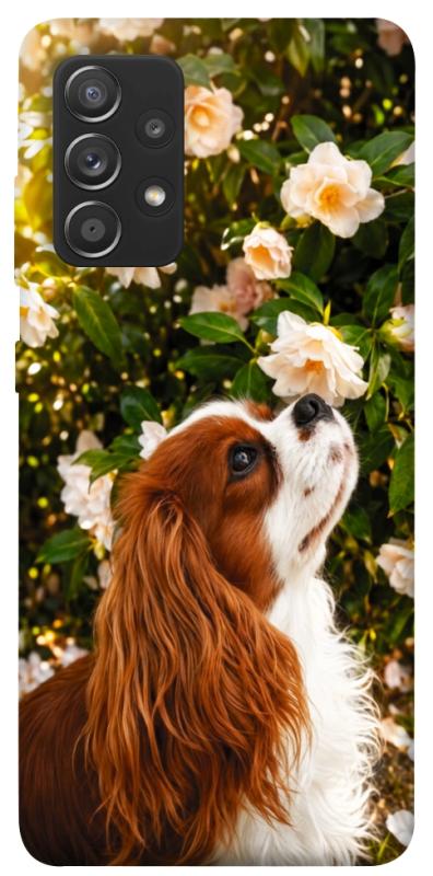 Чохол itsPrint Flower spaniel для Samsung Galaxy A72 4G / A72 5G, песики, купити оптом з доставкою