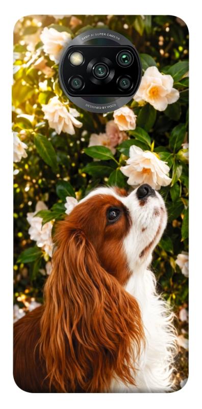 Чохол itsPrint Flower spaniel для Xiaomi Poco X3 NFC / Poco X3 Pro, песики, купити оптом з доставкою