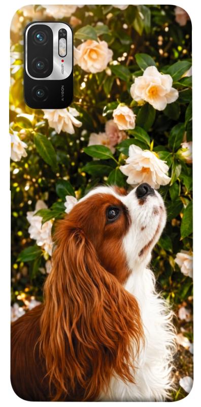 Чохол itsPrint Flower spaniel для Xiaomi Redmi Note 10 5G, песики, купити оптом з доставкою