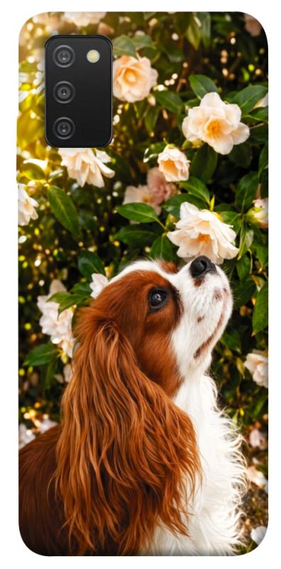 Чохол itsPrint Flower spaniel для Samsung Galaxy A03s, песики, купити оптом з доставкою