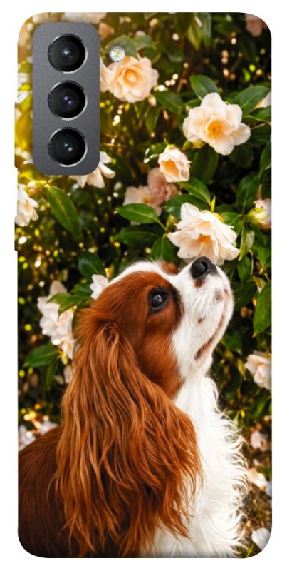 Чохол itsPrint Flower spaniel для Samsung Galaxy S21 FE, песики, купити оптом з доставкою