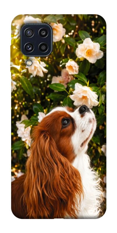 Чохол itsPrint Flower spaniel для Samsung Galaxy M32, песики, купити оптом з доставкою