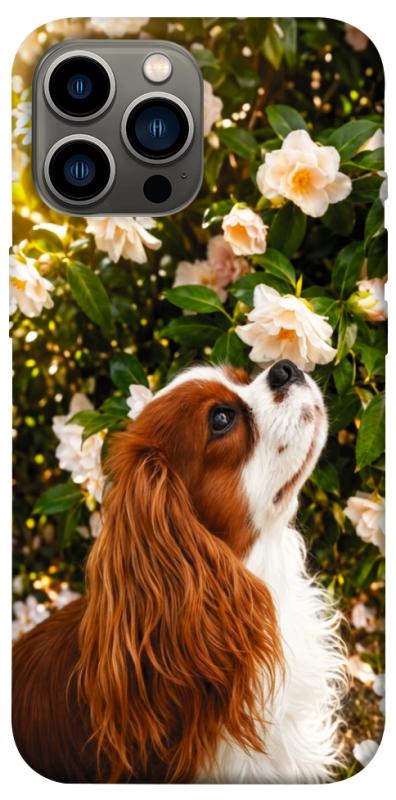 Чохол itsPrint Flower spaniel для Apple iPhone 13 Pro Max (6.7"), песики, купити оптом з доставкою