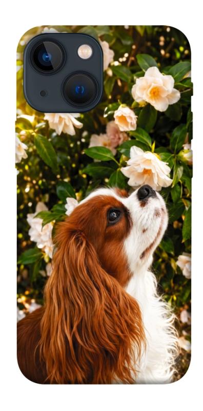 Чохол itsPrint Flower spaniel для Apple iPhone 13 mini (5.4"), песики, купити оптом з доставкою
