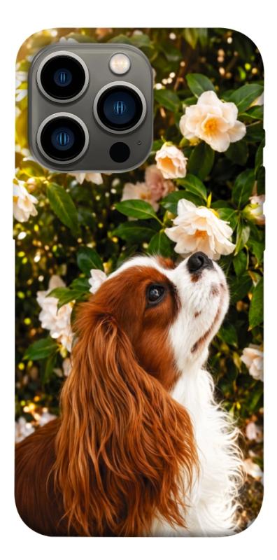 Чехол itsPrint Flower spaniel для Apple iPhone 13 Pro (6.1"), песики, купить оптом с доставкой