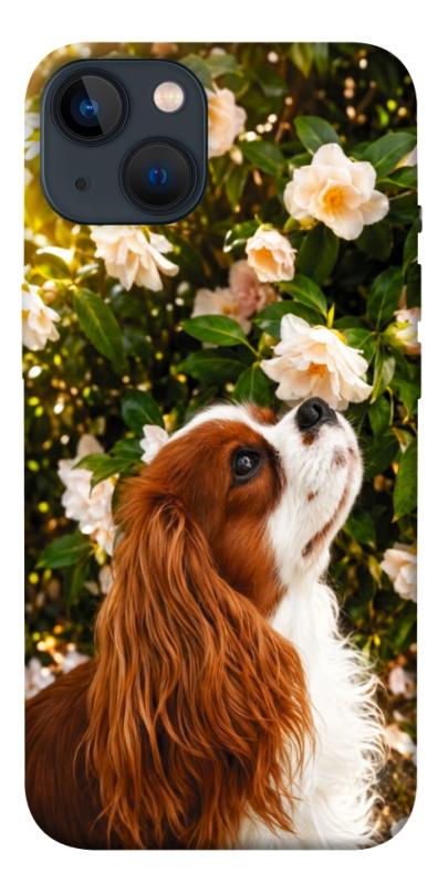 Чехол itsPrint Flower spaniel для Apple iPhone 13 (6.1"), песики, купить оптом с доставкой