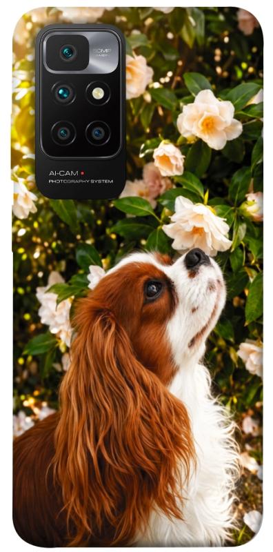 Чохол itsPrint Flower spaniel для Xiaomi Redmi 10, песики, купити оптом з доставкою