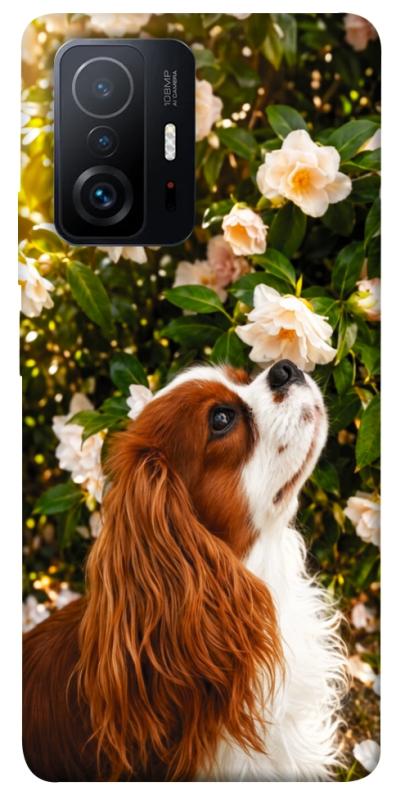 Чохол itsPrint Flower spaniel для Xiaomi 11T / 11T Pro, песики, купити оптом з доставкою