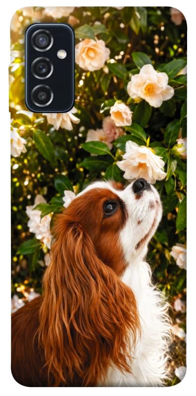 Чохол itsPrint Flower spaniel для Samsung Galaxy M52, песики, купити оптом з доставкою