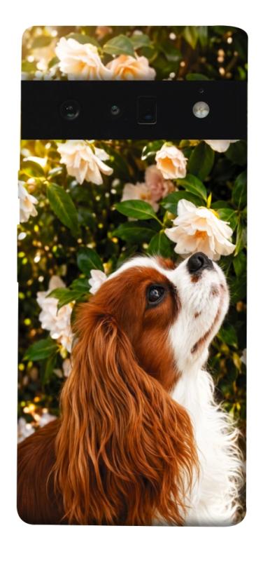 Чохол itsPrint Flower spaniel для Google Pixel 6 Pro, песики, купити оптом з доставкою