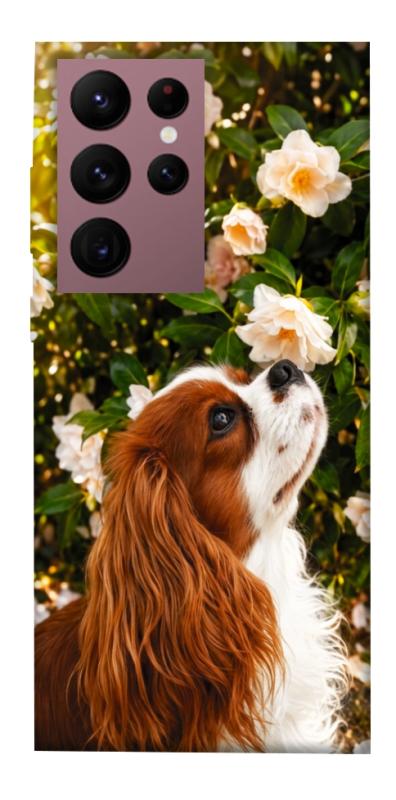 Чохол itsPrint Flower spaniel для Samsung Galaxy S22 Ultra, песики, купити оптом з доставкою