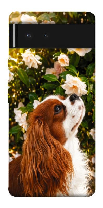Чохол itsPrint Flower spaniel для Google Pixel 6, песики, купити оптом з доставкою