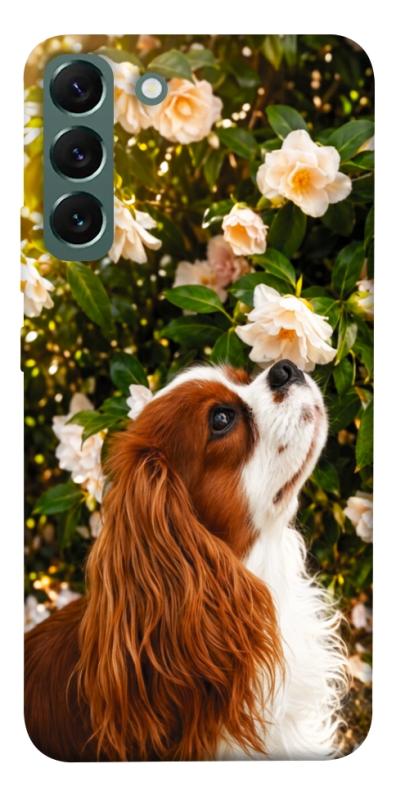 Чохол itsPrint Flower spaniel для Samsung Galaxy S22+, песики, купити оптом з доставкою