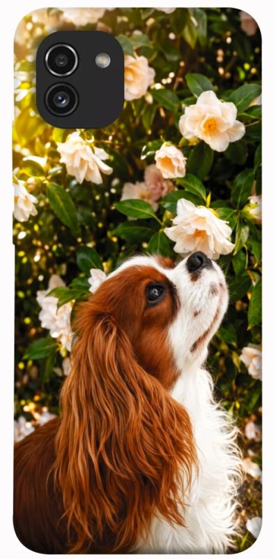 Чохол itsPrint Flower spaniel для Samsung Galaxy A03, песики, купити оптом з доставкою