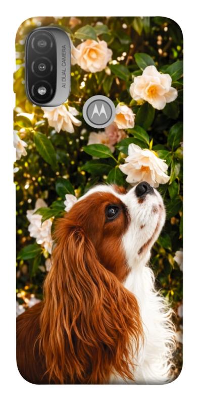 Чохол itsPrint Flower spaniel для Motorola Moto E20, песики, купити оптом з доставкою