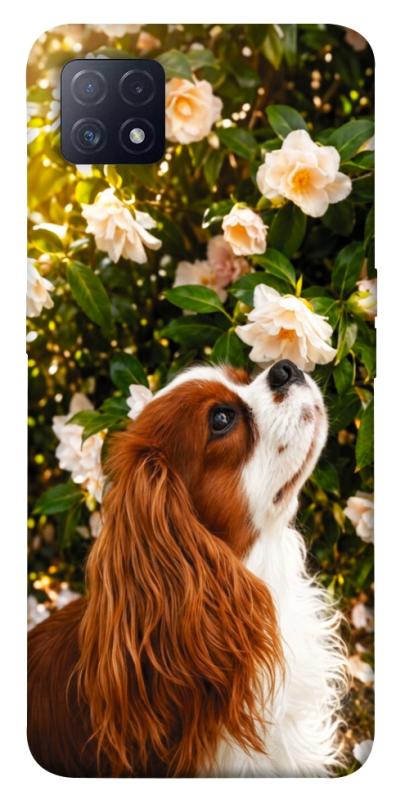 Чохол itsPrint Flower spaniel для Oppo A72 5G / A73 5G, песики, купити оптом з доставкою