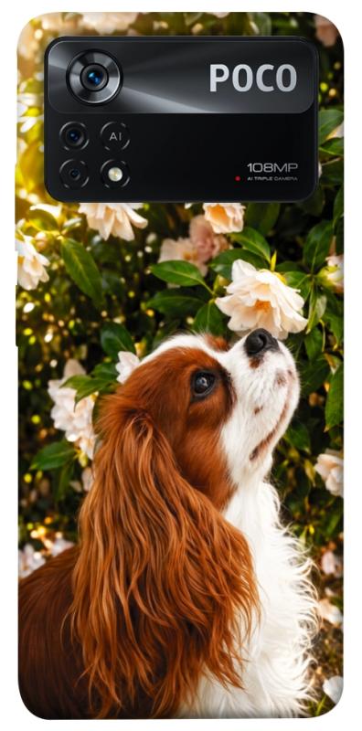 Чохол itsPrint Flower spaniel для Xiaomi Poco X4 Pro 5G, песики, купити оптом з доставкою