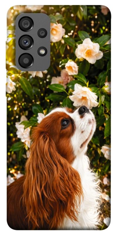 Чохол itsPrint Flower spaniel для Samsung Galaxy A73 5G, песики, купити оптом з доставкою