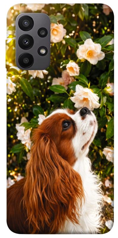 Чохол itsPrint Flower spaniel для Samsung Galaxy A23 4G, песики, купити оптом з доставкою