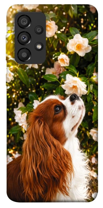 Чохол itsPrint Flower spaniel для Samsung Galaxy A33 5G, песики, купити оптом з доставкою