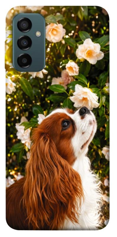 Чохол itsPrint Flower spaniel для Samsung Galaxy M23 5G, песики, купити оптом з доставкою