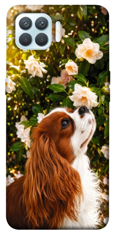 Чохол itsPrint Flower spaniel для Oppo F17 Pro, песики, купити оптом з доставкою