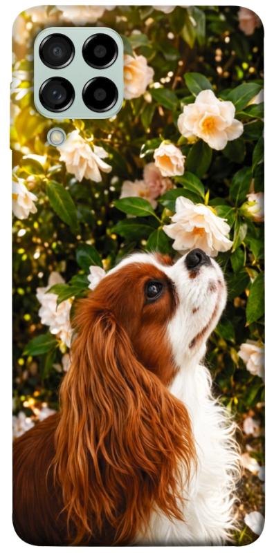 Чехол itsPrint Flower spaniel для Samsung Galaxy M53 5G, песики, купить оптом с доставкой