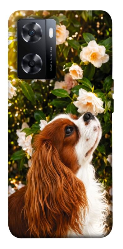 Чохол itsPrint Flower spaniel для OnePlus Nord N20 SE, песики, купити оптом з доставкою